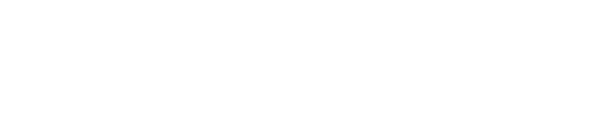 Women Raise the Game